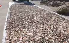 Ván trượt tái chế từ 12.000 mẫu thuốc lá