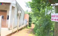 "Xã tỷ phú" khó khăn vì hồ tiêu mất giá
