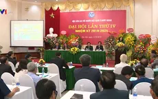 Tăng cường kết nối người Việt Nam ở nước ngoài