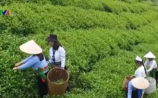 6,6 triệu lượt hộ nghèo được vay vốn tín dụng chính sách