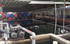 Triệt phá đường dây sản xuất dầu DO giả liên tỉnh