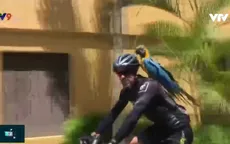 Venezuela: Du lịch cùng vẹt cưng