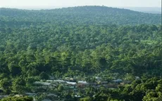 Gabon được trả tiền để bảo vệ rừng