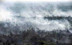 LHQ: Cháy rừng ở Indonesia đe dọa sức khỏe 10 triệu trẻ em Đông Nam Á