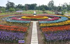 Thành phố Lamitan biến rác thải nhựa thành hoa tulip
