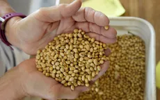 Trung Quốc xác nhận mua thêm nông sản Mỹ