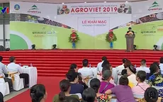 250 gian hàng tham gia Hội chợ triển lãm Nông nghiệp Quốc tế lần thứ 19