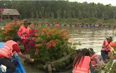 Rừng tràm Trà Sư - Điểm đến của những du khách yêu thiên nhiên