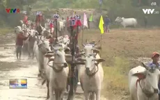 Văn hóa cúng dường mùa Sene Dolta
