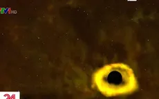 NASA công bố hình ảnh hiếm hoi thời khắc hố đen xé toạc một ngôi sao