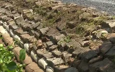 Phát triển kè mềm sinh thái chống sạt lờ