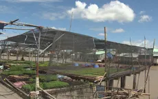 Phát triển kinh tế từ nguồn vốn vay hỗ trợ nông dân