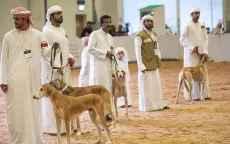 Hấp dẫn cuộc thi sắc đẹp dành cho cho... chó tại UAE