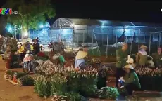 Không khí tấp nập tại chợ hoa Mê Linh