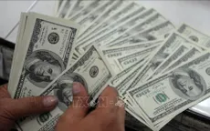 Dừng cho vay ngoại tệ trung dài hạn với doanh nghiệp xuất khẩu từ 1/10/2019