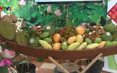 Rau củ quả vào EU: Vượt rào cản hay học luật chơi?