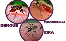 Cuba nỗ lực ngăn chặn các bệnh lây qua muỗi