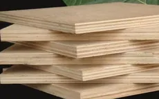 Hoa Kỳ gia hạn điều tra lẩn tránh phòng vệ thương mại với gỗ dán
