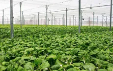 36.490 tỷ đồng cho phát triển nông nghiệp hữu cơ