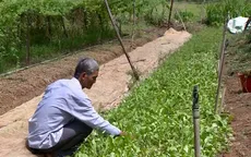 Nông nghiệp hữu cơ gặp khó trong sản xuất và tiêu thụ