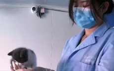 Bùng nổ dịch vụ nhân bản thú cưng tại Trung Quốc