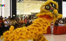 Đấu Lân Sư Rồng mừng Trung thu tại TP.HCM
