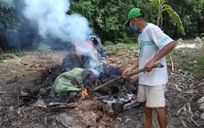 Heo chết được chôn tại bãi tập kết rác ở Tiền Giang