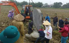 Tôn tạo ngôi mộ cổ hơn 500 năm tuổi