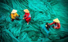 Vẻ đẹp lao động của Việt Nam trong những khoảnh khắc của thế giới