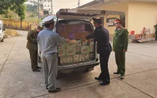 Ngăn chặn gần 2.000 sản phẩm thực phẩm nhập lậu qua Lạng Sơn