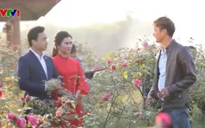Ghé thăm trang trại hoa hồng cổ hồ Núi Mủn, Thái Nguyên