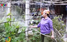 Nước sạch về với cho người dân nông thôn ở 3 tỉnh miền Trung