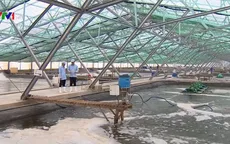 Xử lý nghiêm doanh nghiệp dùng chất cấm trong thức ăn thủy sản