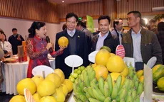 Khai mạc Hội chợ Xuân Canh Tý 2020