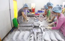 Hậu Giang chuẩn bị hàng trăm tấn cá thác lác tẩm gia vị phục vụ Tết