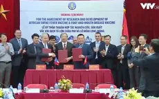 Nghiên cứu sản xuất vaccine dịch tả lợn châu Phi