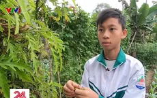 Cặp lá yêu thương: Vườn thuốc nam của Duy