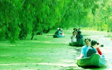 An Giang nhận 2 kỷ lục về rừng tràm Trà Sư