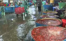 Không khí nhộn nhịp tại chợ cá lớn nhất Thủ đô dịp ông Công ông Táo
