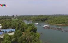 Giữ gìn và phát triển “kho báu” thiên nhiên hồ Trị An