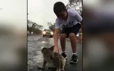 Mưa dông dập tắt cháy rừng trên phần lớn miền Đông Australia
