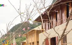 Xuân đã về nơi vùng lũ đi qua
