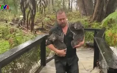 Australia hứng chịu nhiều hình thái thời tiết cực đoan