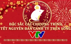 [INFOGRAPHIC] Đặc sắc các chương trình Tết Nguyên đán Canh Tý 2020 trên sóng VTV