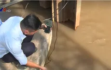 Cận Tết, người dân Bến Tre gồng mình ứng phó với xâm nhập mặn
