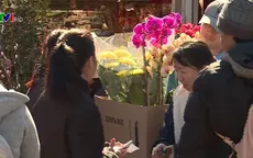 Chợ hoa ngày Tết tại Mỹ