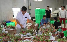 EVFTA thêm cơ hội cho xuất khẩu nông sản