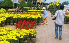 Cần Thơ: Sức mua hoa kiểng, trái cây giảm trong ngày cuối năm
