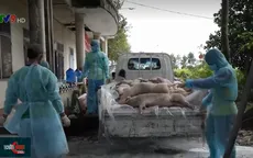 Năm 2019 - Năm nỗ lực của người chăn nuôi trên cả nước