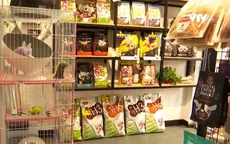 Trung Quốc: Bùng nổ dịch vụ chăm sóc thú cưng dịp Tết